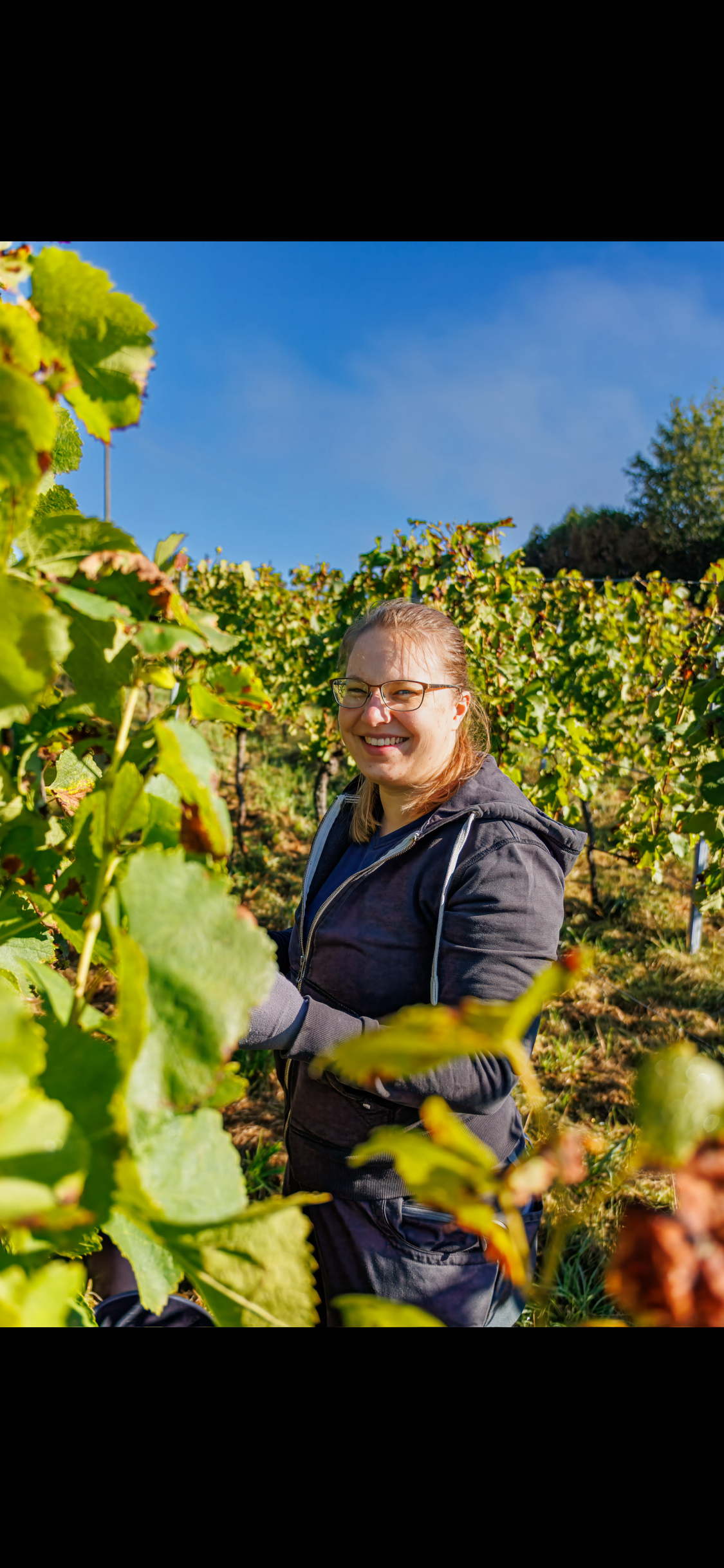 Winzerin bei der Arbeit im Weinberg zwischen den Reben