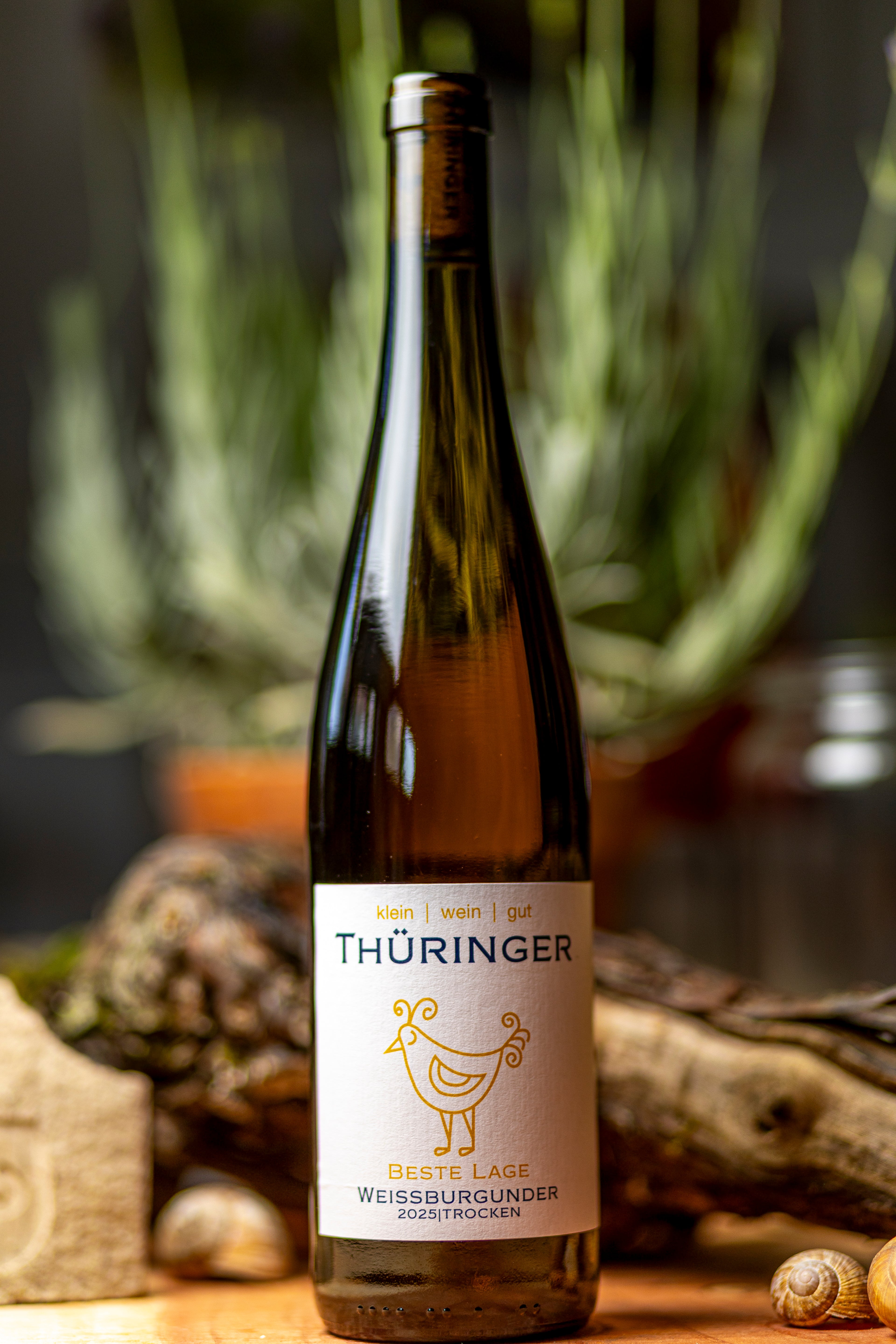 Beste Lage Weißburgunder 2025 trocken – Kleinweingut Thüringer
