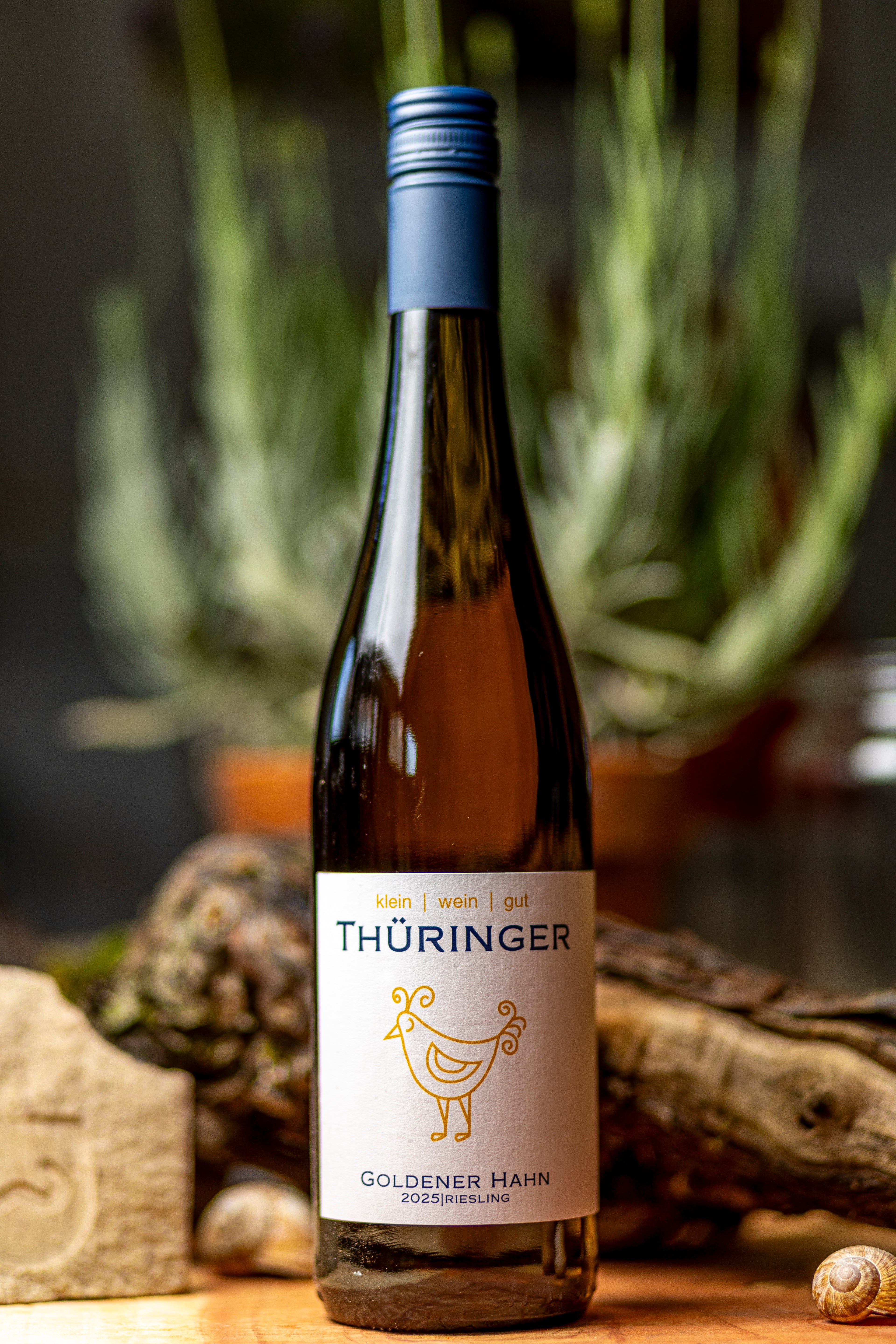 Riesling "Goldener Hahn" 2025 lieblich - Kleinweingut Thüringer