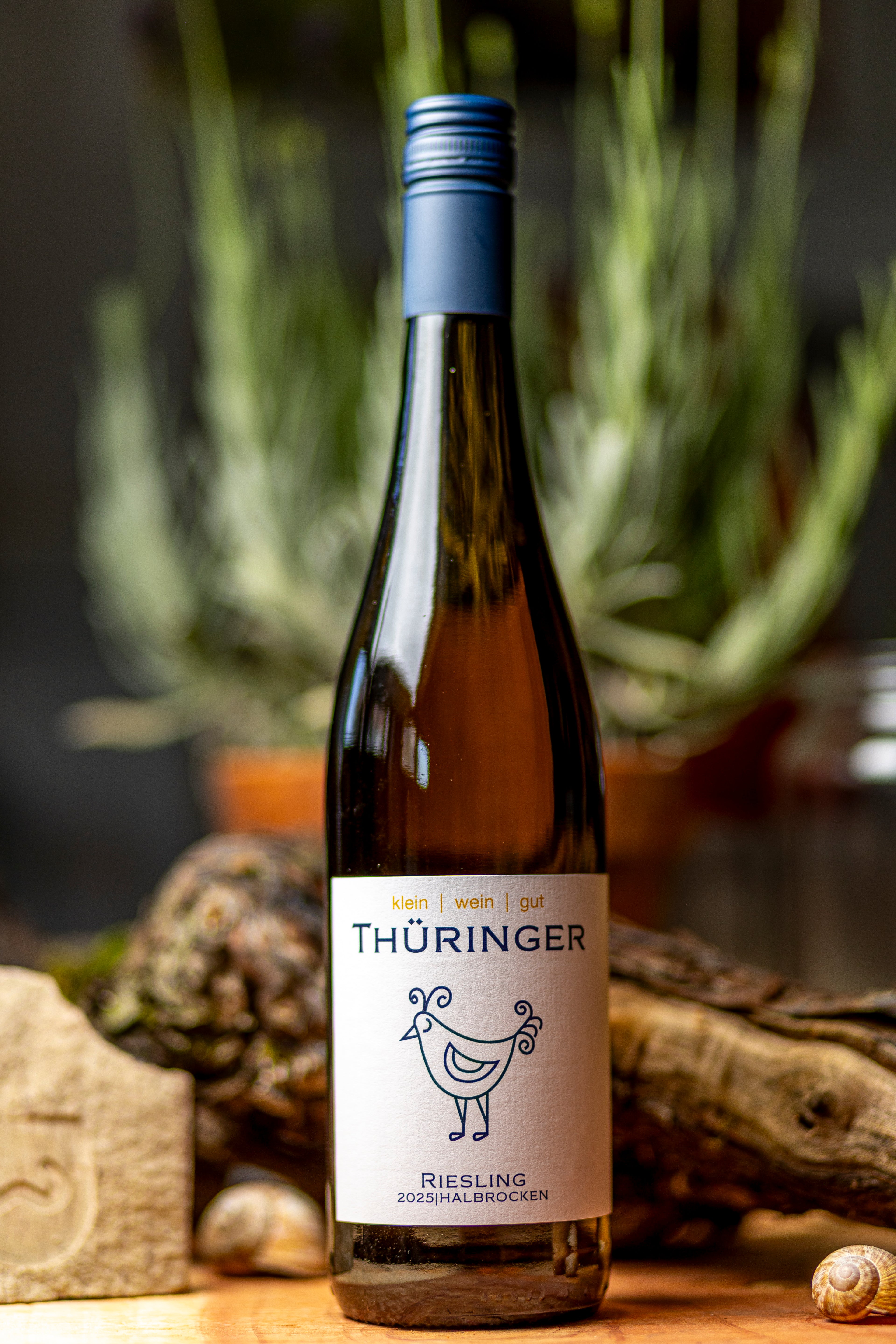 Riesling 2025 halbtrocken